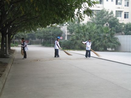 社会实践4