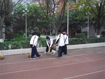 社会实践8