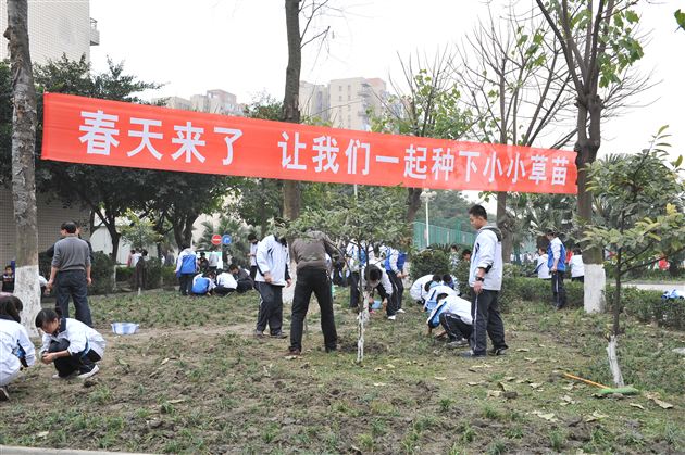 学习雷锋,播种绿色,建设美好棠外——记棠外师生植树节实践活动