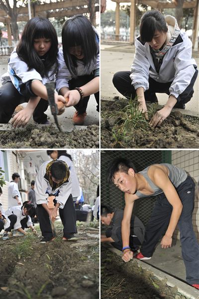 学习雷锋,播种绿色,建设美好棠外——记棠外师生植树节实践活动