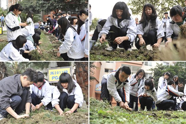 学习雷锋,播种绿色,建设美好棠外——记棠外师生植树节实践活动
