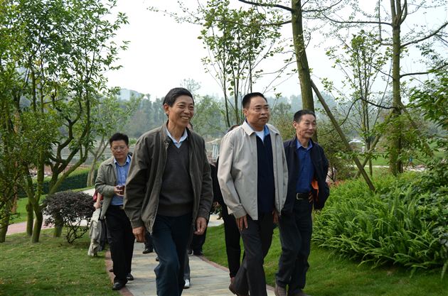 九九重阳节，浓浓敬老情——记棠中外语学校重阳节敬老活动