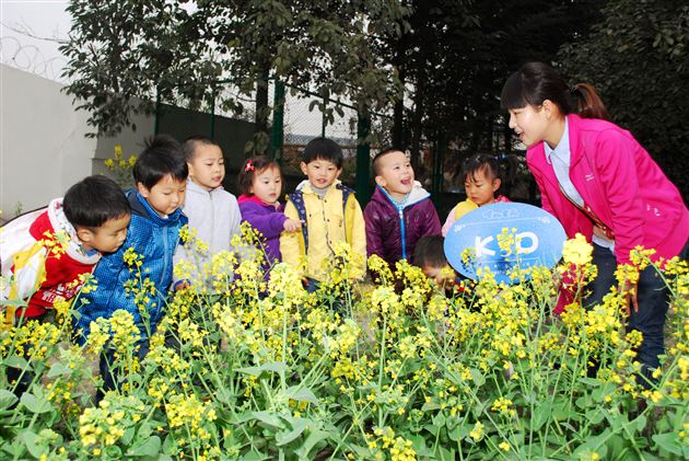 棠外幼稚园,我们回来了