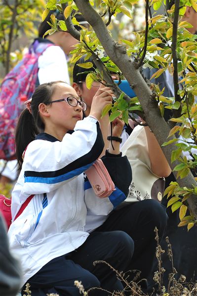 棠中外语学校初2012级“缅怀革命先烈,弘扬民族精神”社会实践活动