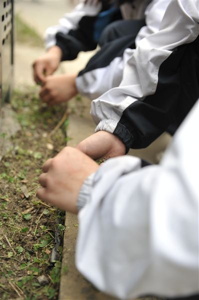 爱护花草树木,我们在行动——记棠外“用我之手绿我棠外——除草大行动”活动