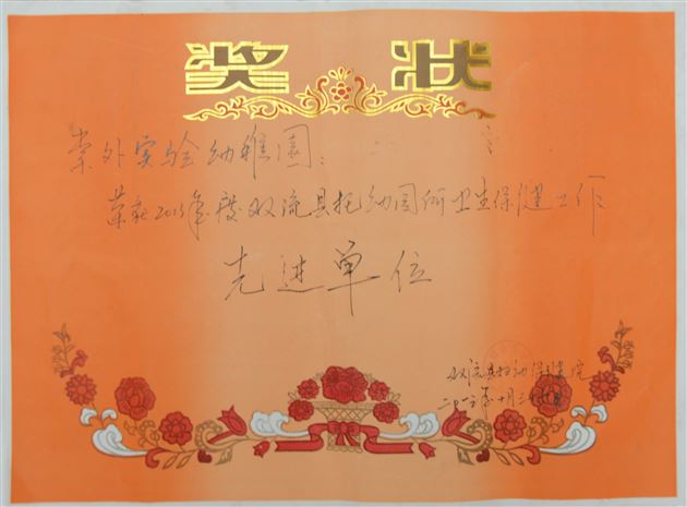 棠外实验幼稚园荣获2013年度双流县托幼园所卫生保健工作先进单位