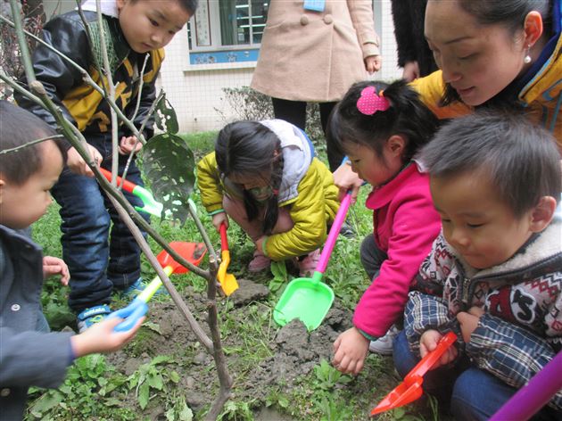 棠外实验幼稚园开展植树活动