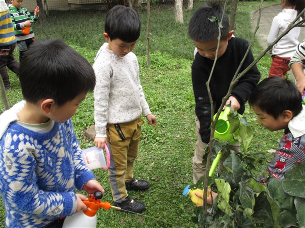 棠外实验幼稚园开展植树活动