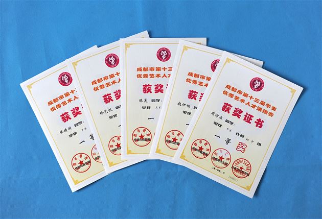 棠外学子参加“2014成都市艺术人才选拔赛”喜获佳绩