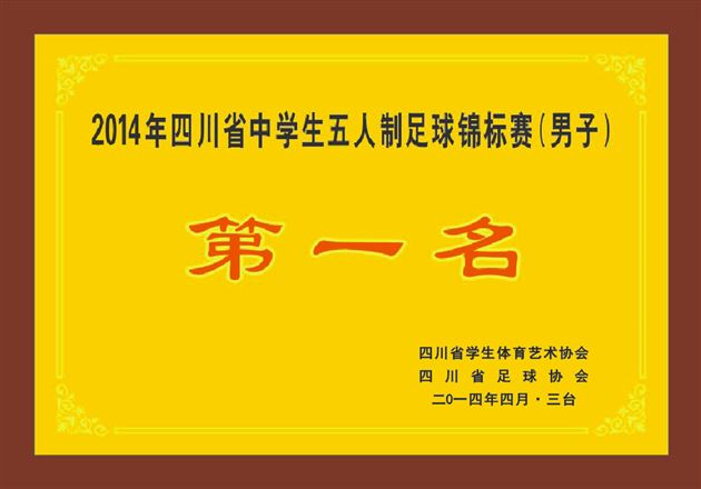 棠外男足队参加省中学生男足锦标赛荣获冠军