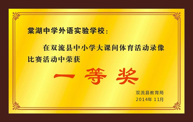 棠外大课间体育活动参加成都市和双流县评比均获一等奖