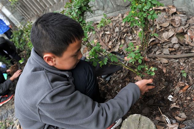 待来年,共赏花香满墙——记棠外师生“植树节”美化校园行动