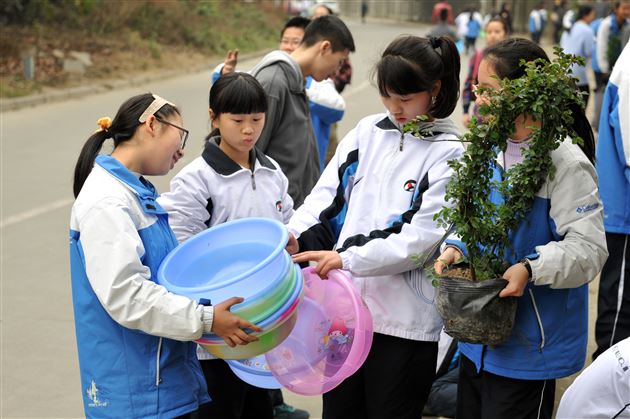 待来年,共赏花香满墙——记棠外师生“植树节”美化校园行动