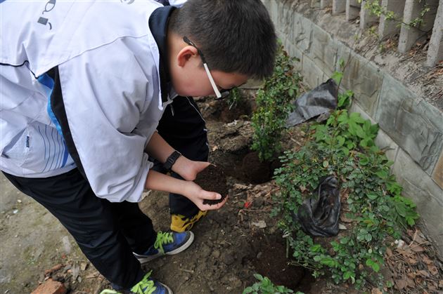 待来年,共赏花香满墙——记棠外师生“植树节”美化校园行动