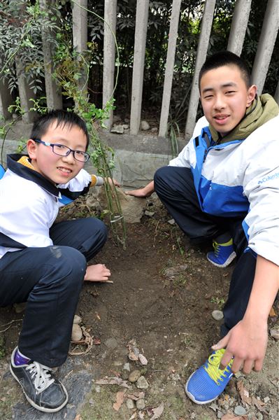 待来年,共赏花香满墙——记棠外师生“植树节”美化校园行动