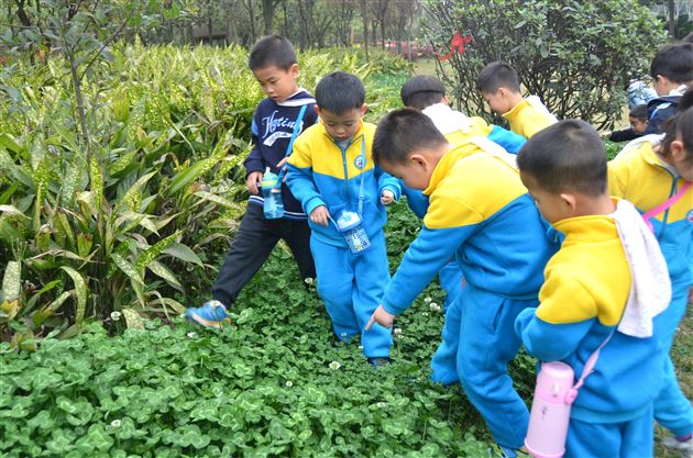 “亲近自然,拥抱春天”——记棠外实验幼稚园春游活动