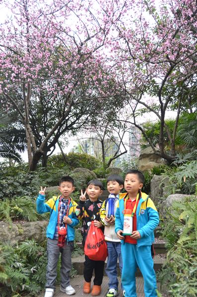 “亲近自然,拥抱春天”——记棠外实验幼稚园春游活动