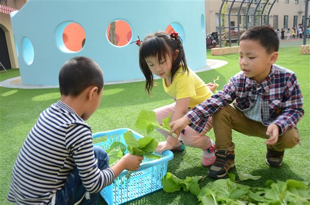 爱心传递,真情永驻——记棠外实验幼稚园蔬菜爱心义卖活动