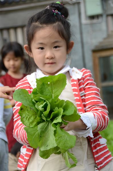爱心传递,真情永驻——记棠外实验幼稚园蔬菜爱心义卖活动