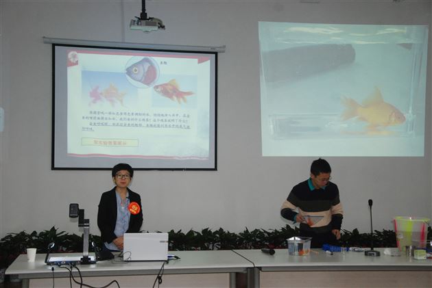 棠外附小教师荣获四川省小学科学实验技能暨创新实验大赛一等奖