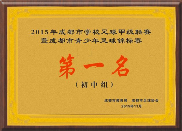 喜报:棠外初高中男子足球队卫冕成都市中学生足球锦标赛冠军