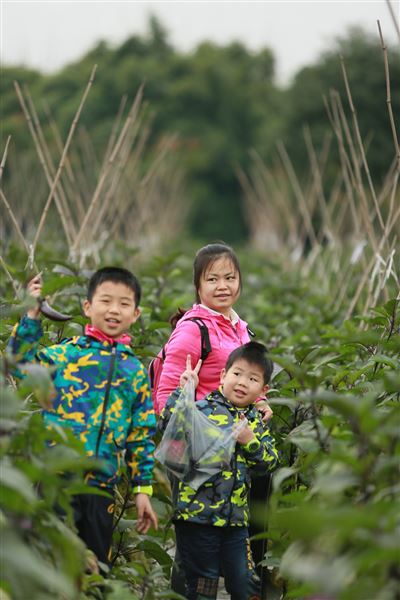 同赏田园美丽风景,共度美好亲子时光——记棠外附小2015级1班、2班亲子活动