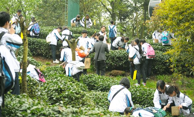品味千秋蒙顶,继承传统文化——记棠外初2014级蒙顶山社会实践活动