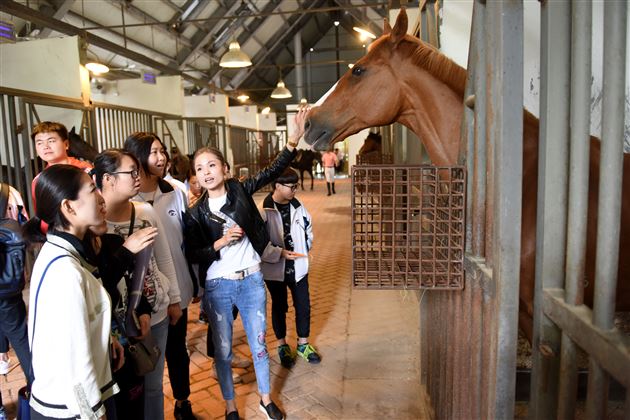 国际班马术style——棠外国际班学生U-course综合素质课程之马术学习