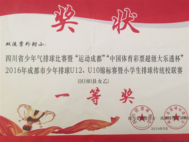 棠外附小参加四川省少年排球比赛获优异成绩