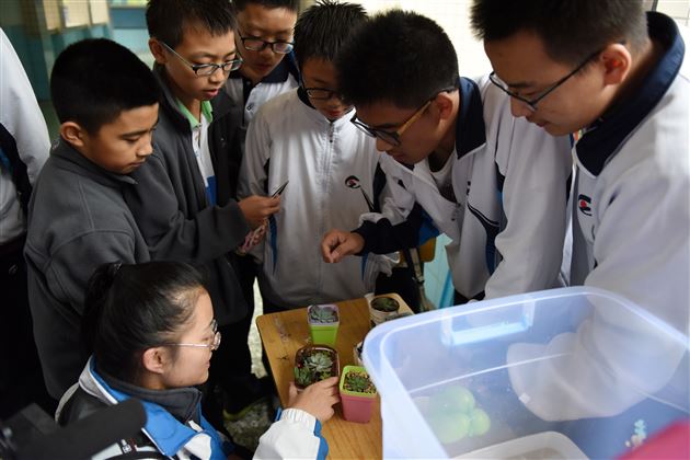 三千余学子求仁得仁 十三载义卖知爱懂爱——记棠外冬季大型爱心义卖活动