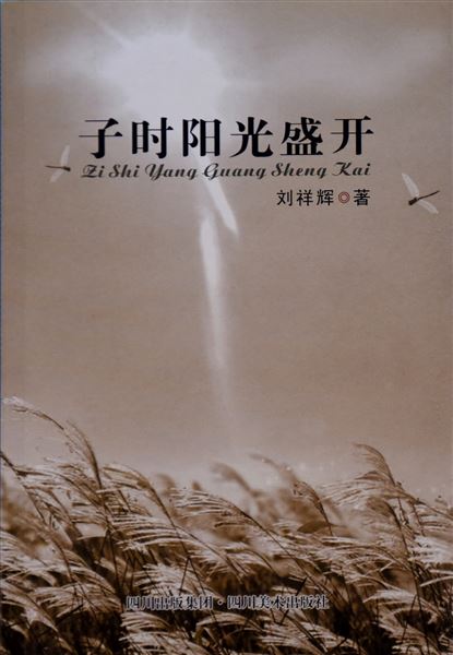 轻拾一路山水 沉香一生智慧——棠外教师在著书立说的道路上砥砺前行