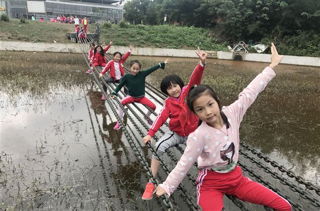 金秋好时节,出游趣味浓——记棠外附小三年级社会实践活动
