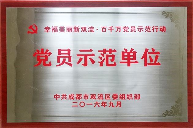 棠外党总支在成都市教育系统党建培训会上作经验交流