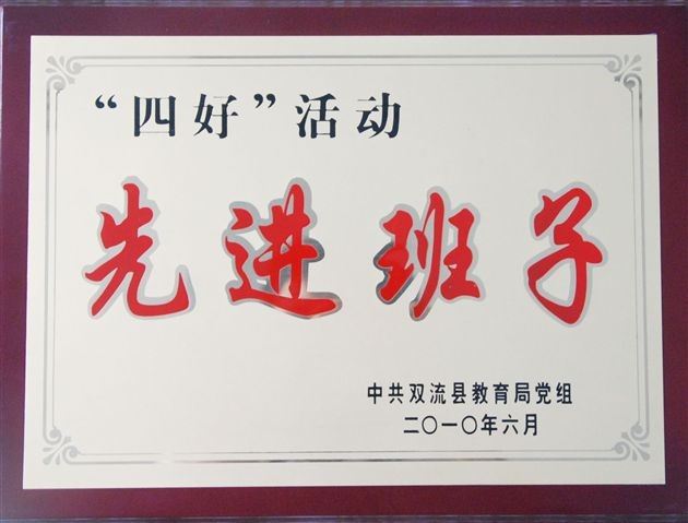 棠外党总支在成都市教育系统党建培训会上作经验交流