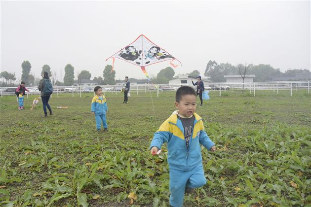 拾一春芳华 留一片回忆——棠外实验幼儿园2018春游记