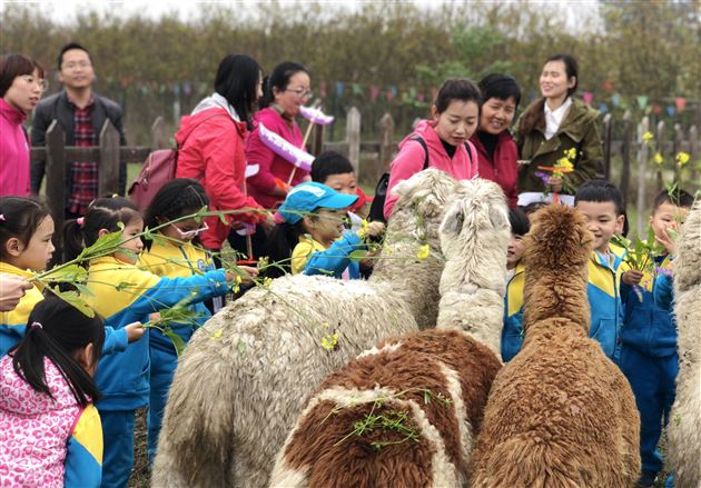 拾一春芳华 留一片回忆——棠外实验幼儿园2018春游记