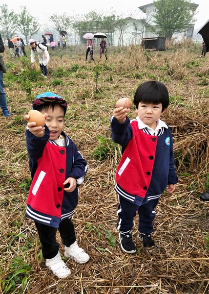 拾一春芳华 留一片回忆——棠外实验幼儿园2018春游记