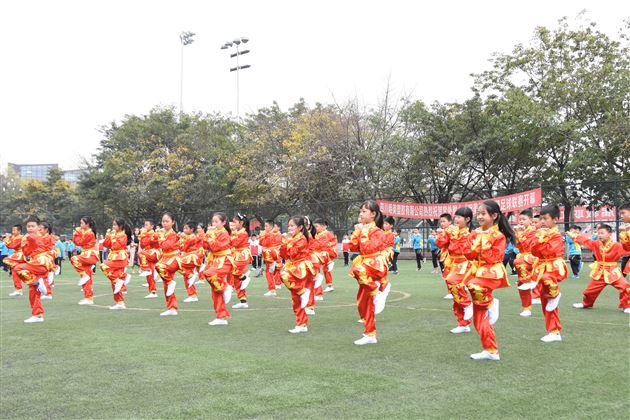 “十城市” 体研会刘端文理事长莅临棠外附小进行体育课题研究与教学工作指导
