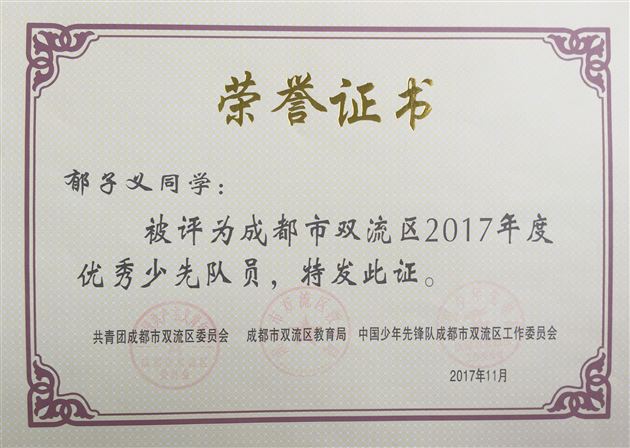 棠外附小少先队再创佳绩