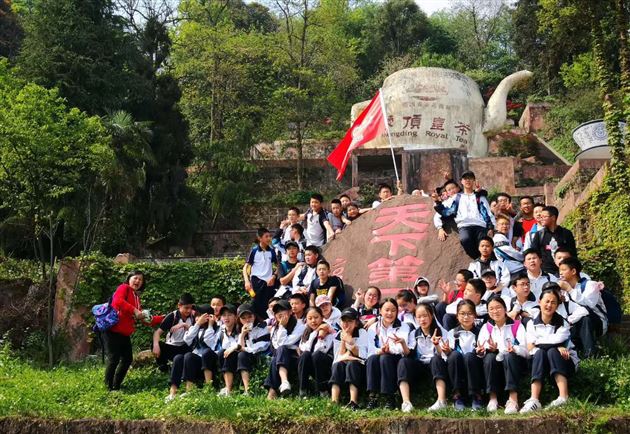 蒙顶山巅茶香扬棠外学子笑语飞——记初2017级蒙顶山中华茶文化研学之旅