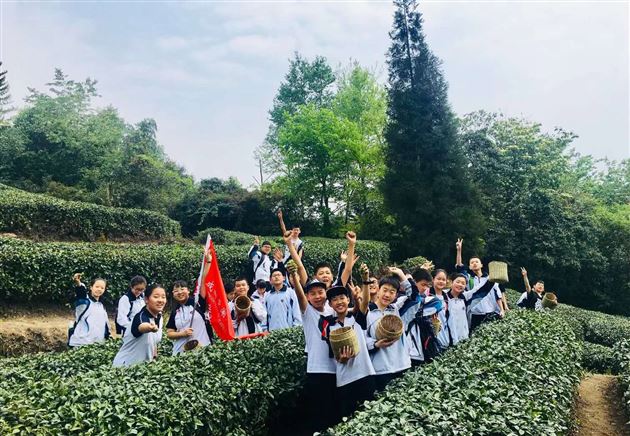 蒙顶山巅茶香扬棠外学子笑语飞——记初2017级蒙顶山中华茶文化研学之旅