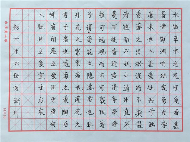 党旗引领师生同心共筑中国梦——棠外党委开展2018年“弘扬中国精神,汇聚中国力量”主题师生书画摄影作品征集评选活动