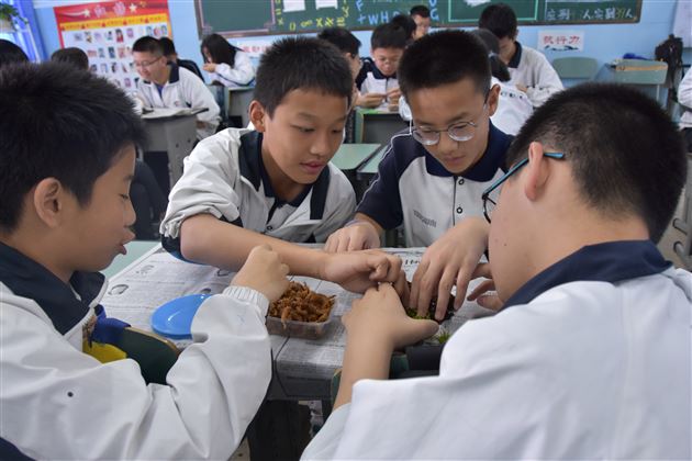 塑苔花之形点心灵之境——记棠外“5.25心理健康节”系列活动(四)