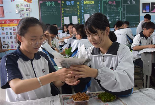 塑苔花之形点心灵之境——记棠外“5.25心理健康节”系列活动(四)