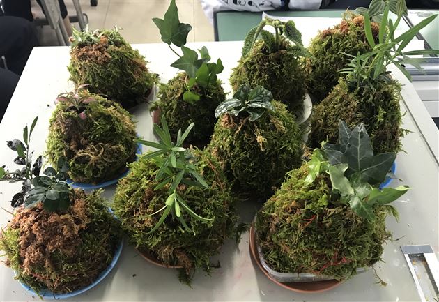 塑苔花之形点心灵之境——记棠外“5.25心理健康节”系列活动(四)