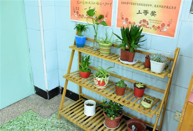 谁更洁净谁更美谁更具有文化味——棠外初中部开展班级文化、清洁卫生全面检查评比