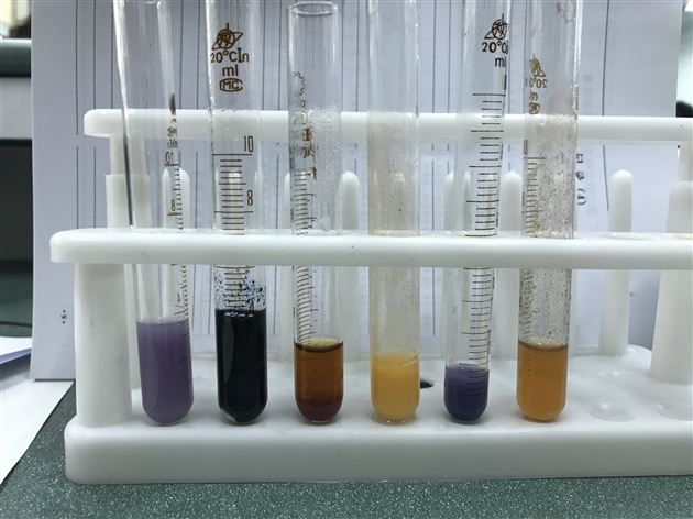 学生的鉴定结果