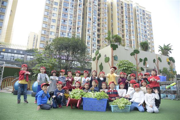 棠外实验幼儿园爱心小农场丰收啦