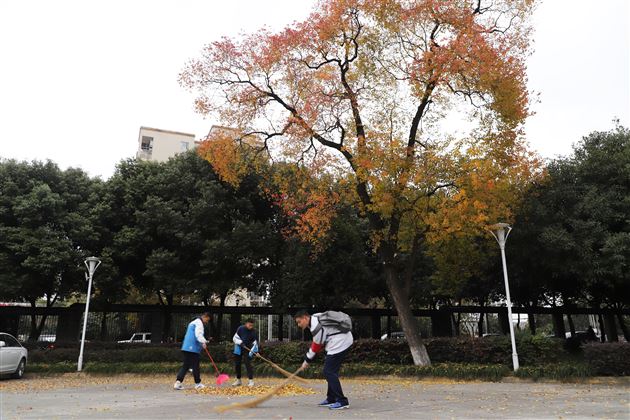 君子不惧用热诚之心抵御寒冬——高二3班开展校内社会实践活动
