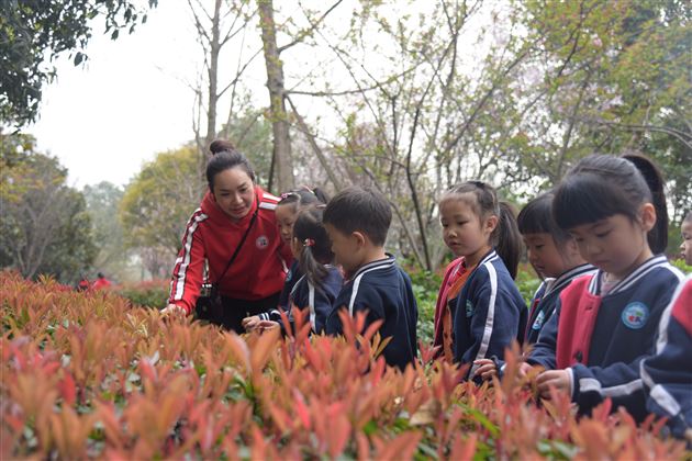 春风十里，不如春色里有个你——我校实验幼儿园举行春游活动